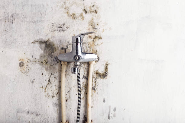 Best Emergency Mold Removal  in Lisbon, ME