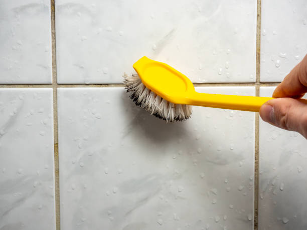 Best Fast Mold Removal  in Lisbon, ME