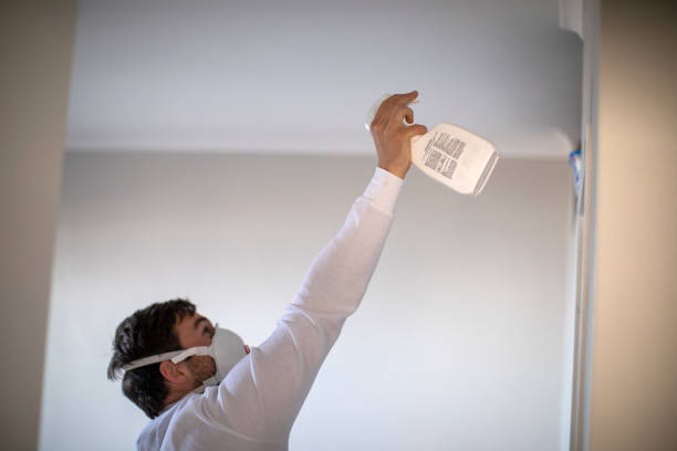 Best Local Mold Removal Service  in Lisbon, ME