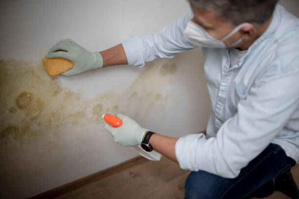 Best Mold Testing  in Lisbon, ME